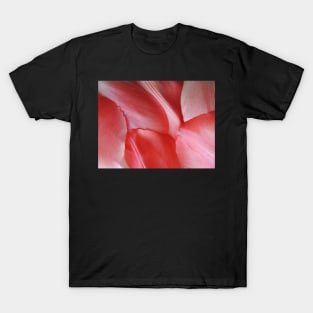Petal Abstract T-Shirt